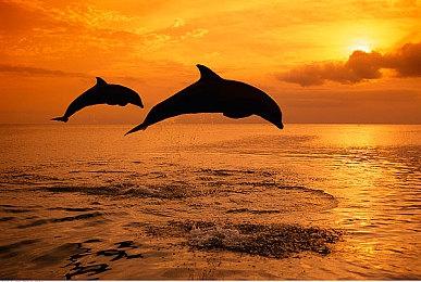 《烽沙》Steam新品节免费Demo今日开放，共筑东方战争策略新体验